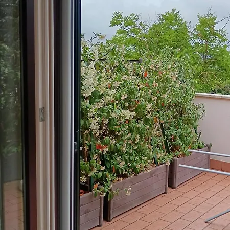 Cuore Di Toscana *